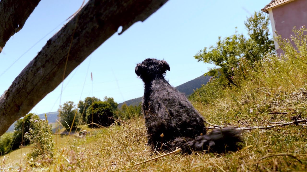 Sky on Mt. Golija/Nebo na Goliji (turn on English or Serbian subtitles)