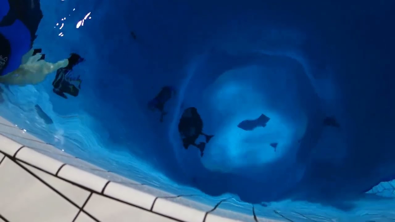 Première à 20 m
