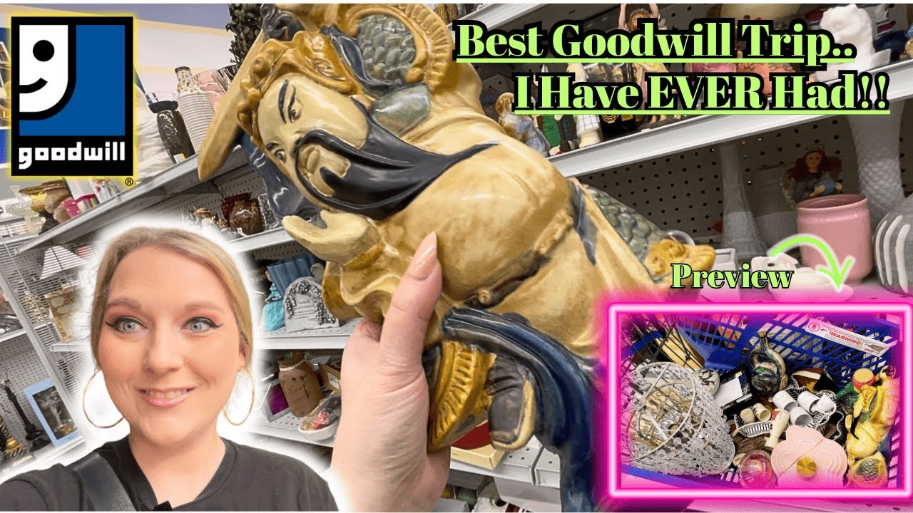 Let’s Thrift Goodwill & UGM! My Secret Honeyhole! +The Most 💥INSANE💥Goodwill Trip! 