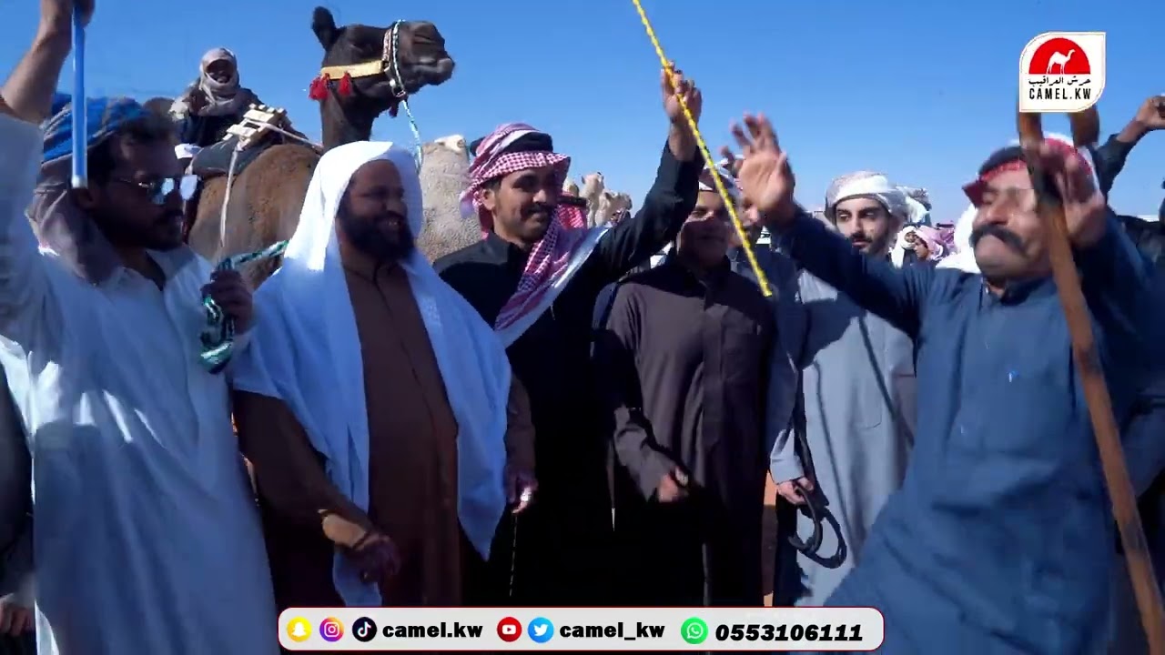 منقية نوادر الثقيل  د فهد بن عبدالله الثقيل