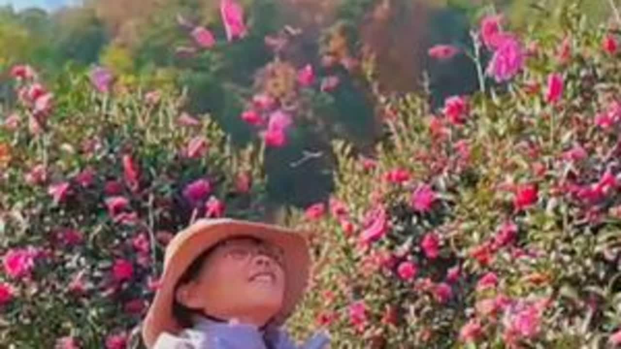 震撼莲花台！快来登九峰之巅，免费游瑞岩景区 浙江省宁波市北仑区里外峰森林游步道，集‌休闲观光、生态体验、健身徒步‌于一体，是北仑区“森林北仑”建设的重点工程，与九峰山、八大坑等步道形成网络，徒步...