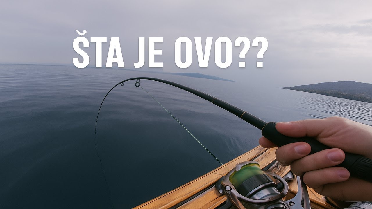 Krenule su lignje!!!