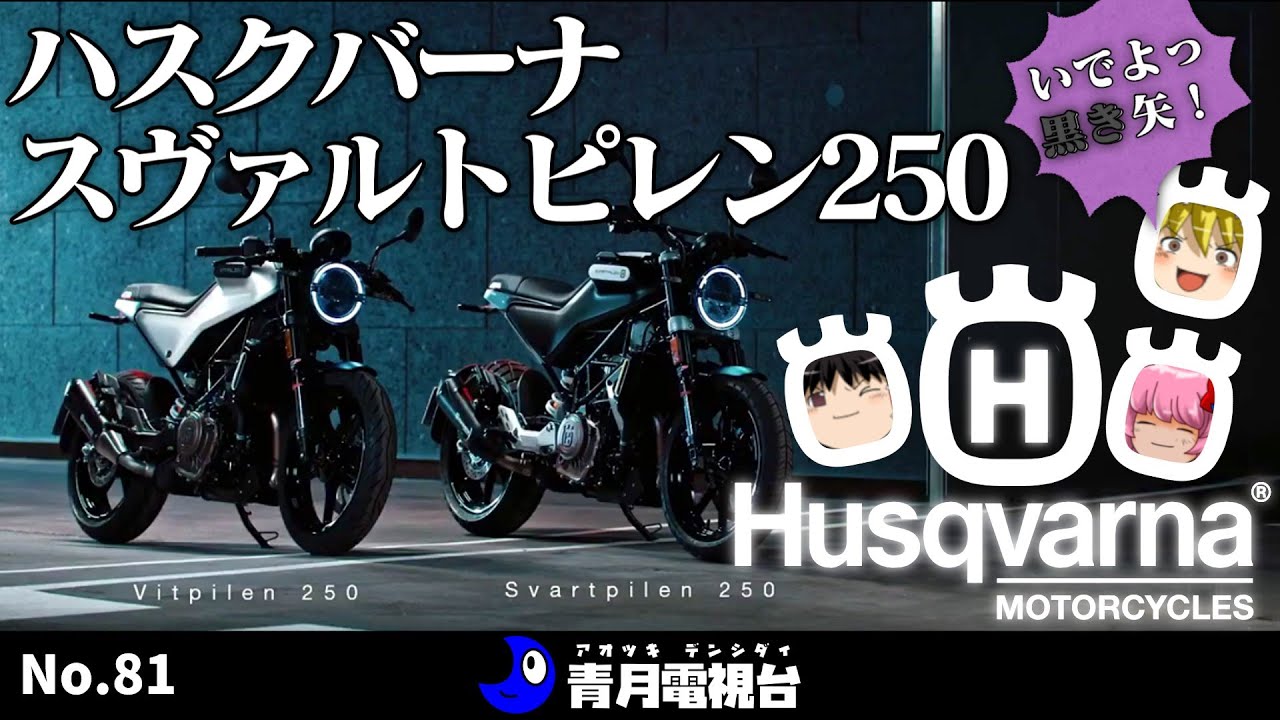 【一目惚れ！？】Svartpilen250は、多少のことは気にならない最高バイクだった！スペック・インプレ・トラブルまとめ！