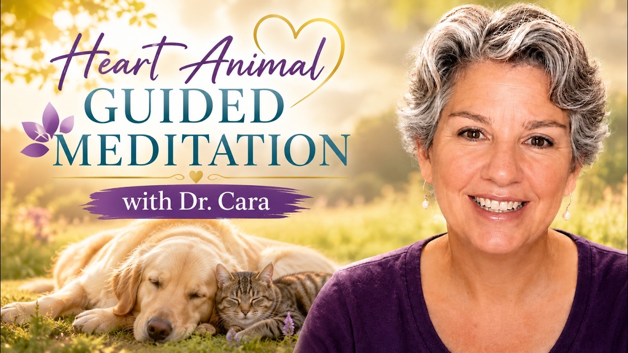 Heart Animal Guided Meditation with Dr.  Cara Gubbins, animal communicator