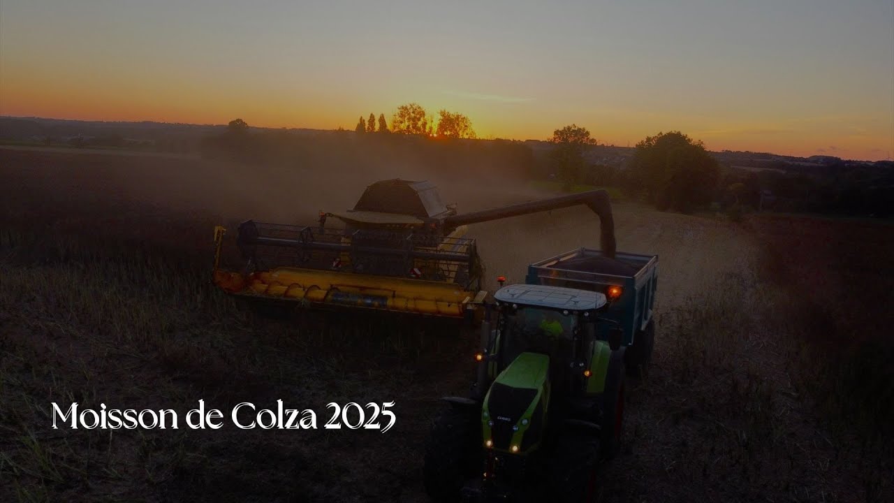 Sunset à la moisson de Colza 2025 / Jacky Lucienne