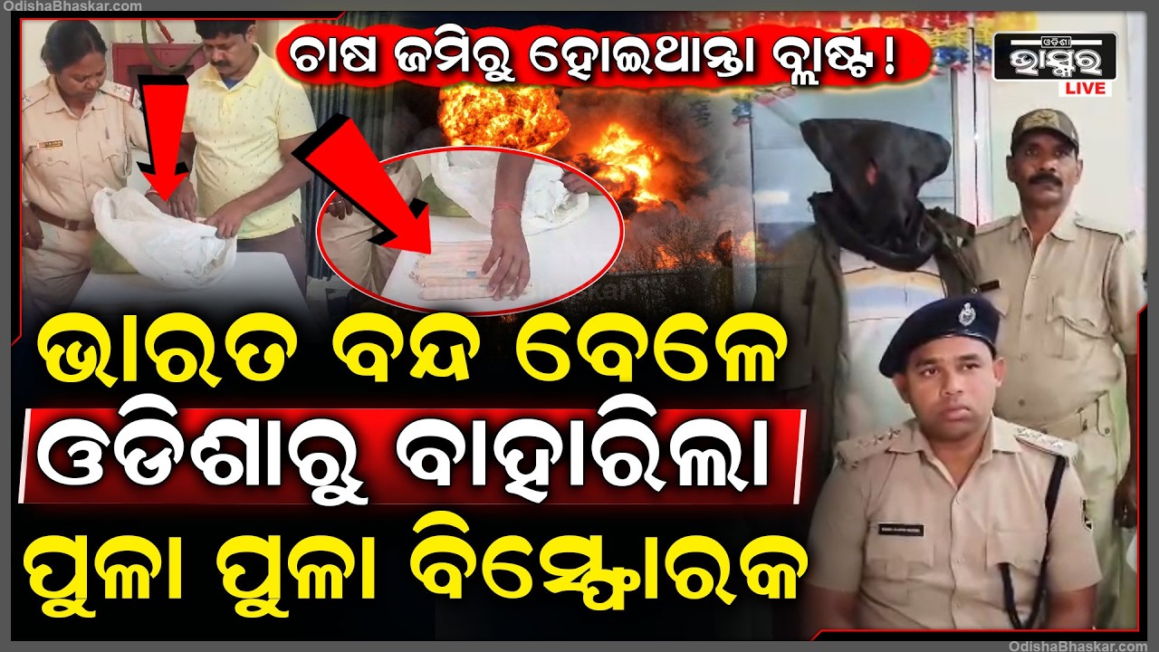ଭାରତ ବନ୍ଦ ବେଳେ ଓଡିଶାରୁ ବାହାରିଲା ପୁଳା ପୁଳା ବିସ୍ଫୋରକ, ଚାଷ ଜମିରେ ରଖିଥିଲେ ଲୁଚେଇ...