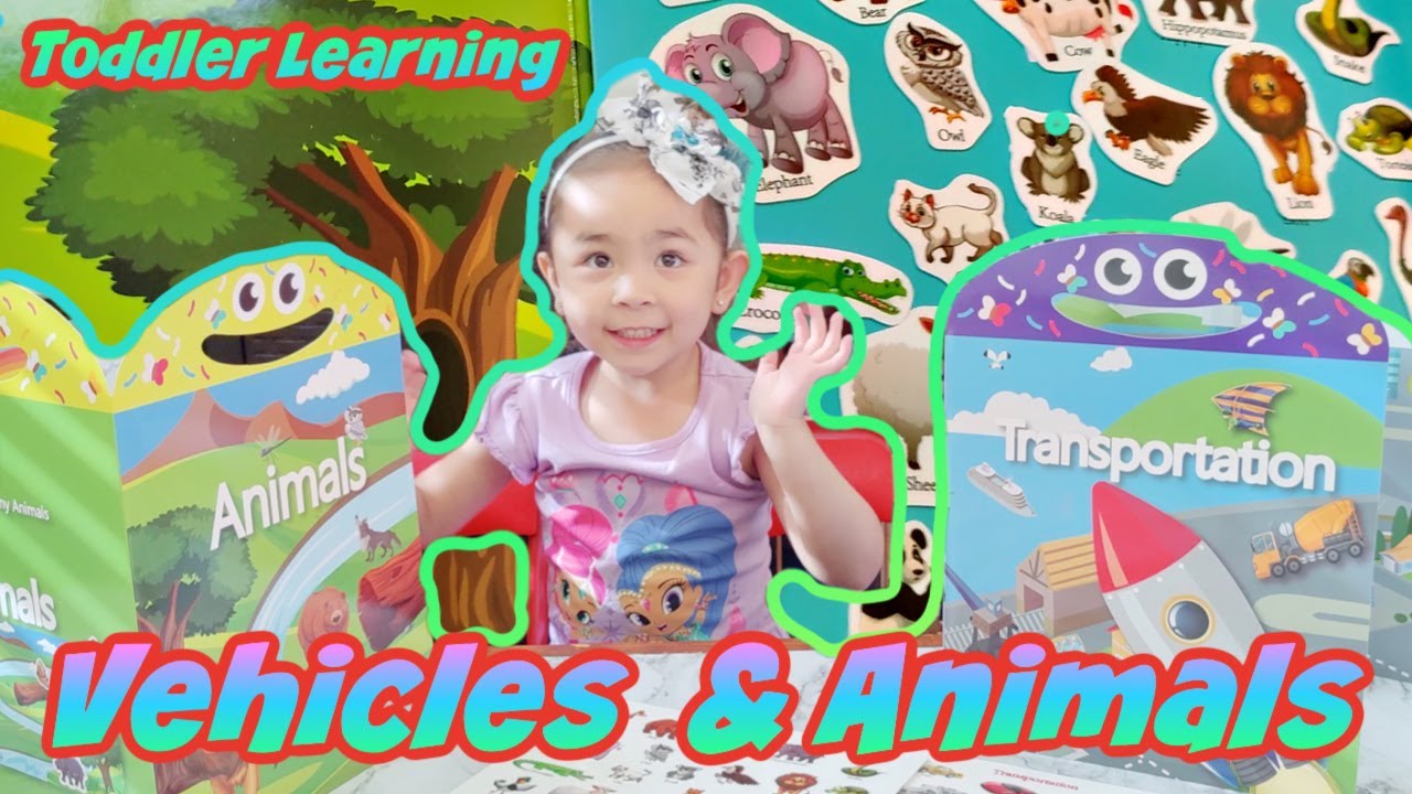 Toddler Learning Animals & Vehicles with Reusable Sticker Book Educational Toy Video for Kids