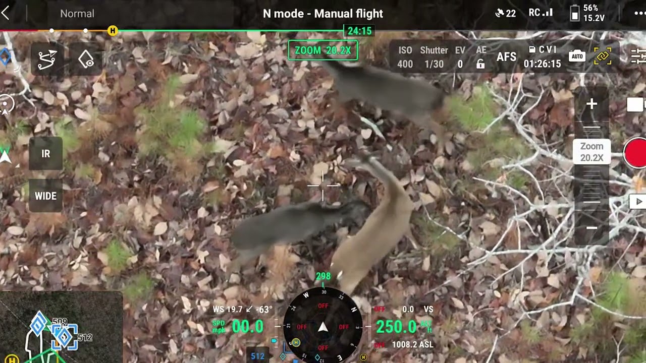 Deer Survey in Steep Terrain - DJI Mavic 3T Thermal