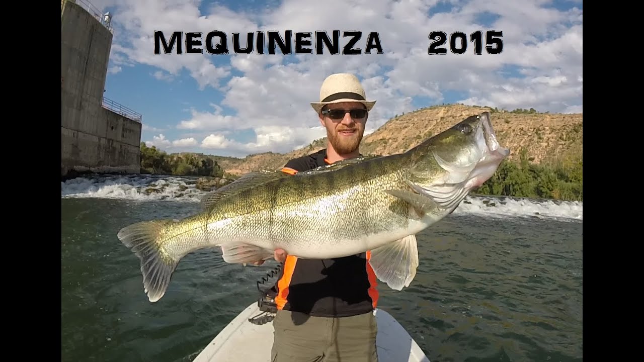 Mequinenza 2015