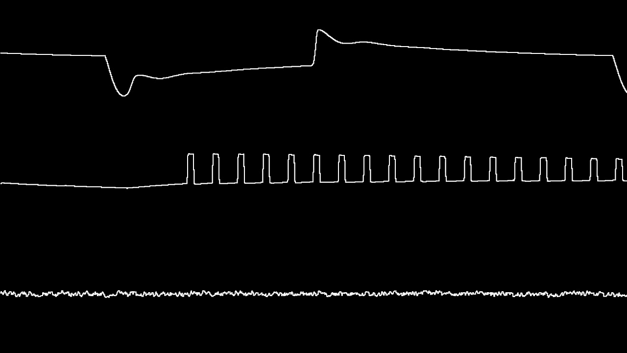 [C64] Bad Apple (SID remix by Ukimenustah) – oscilloscope view