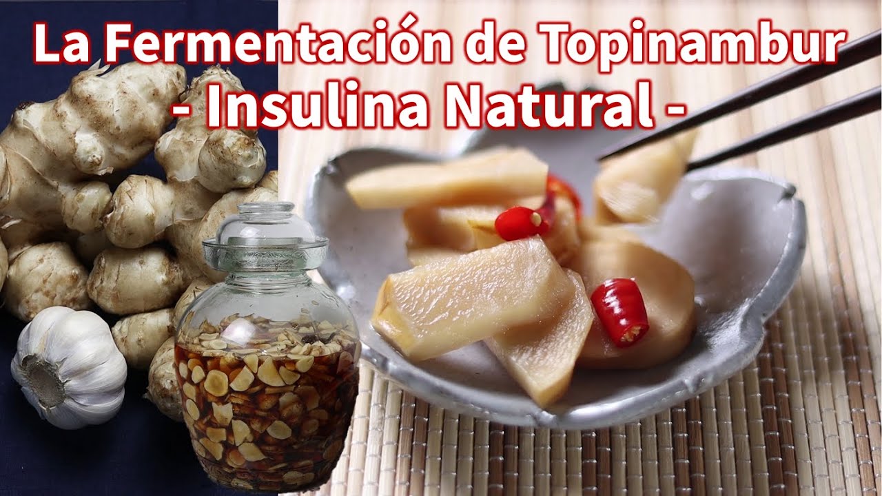 Fermentación del Topinambur / Insulina Natural / Fermentation of Jerusalem Artichoke / 菊芋の発酵食品/ 洋姜泡菜