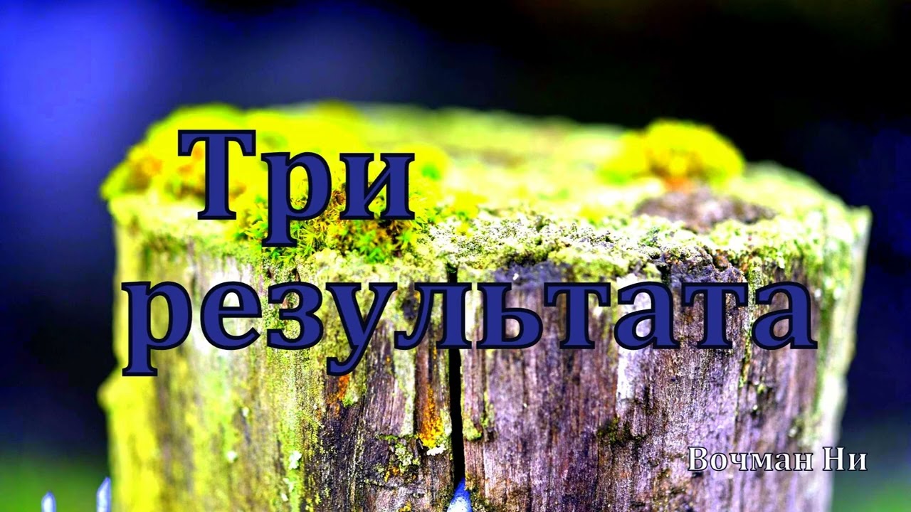 Три результата Вочман Ни