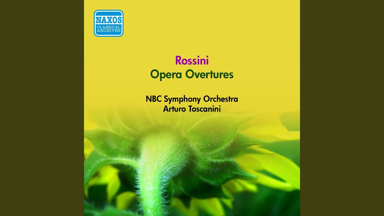 Il Signor Bruschino: Overture