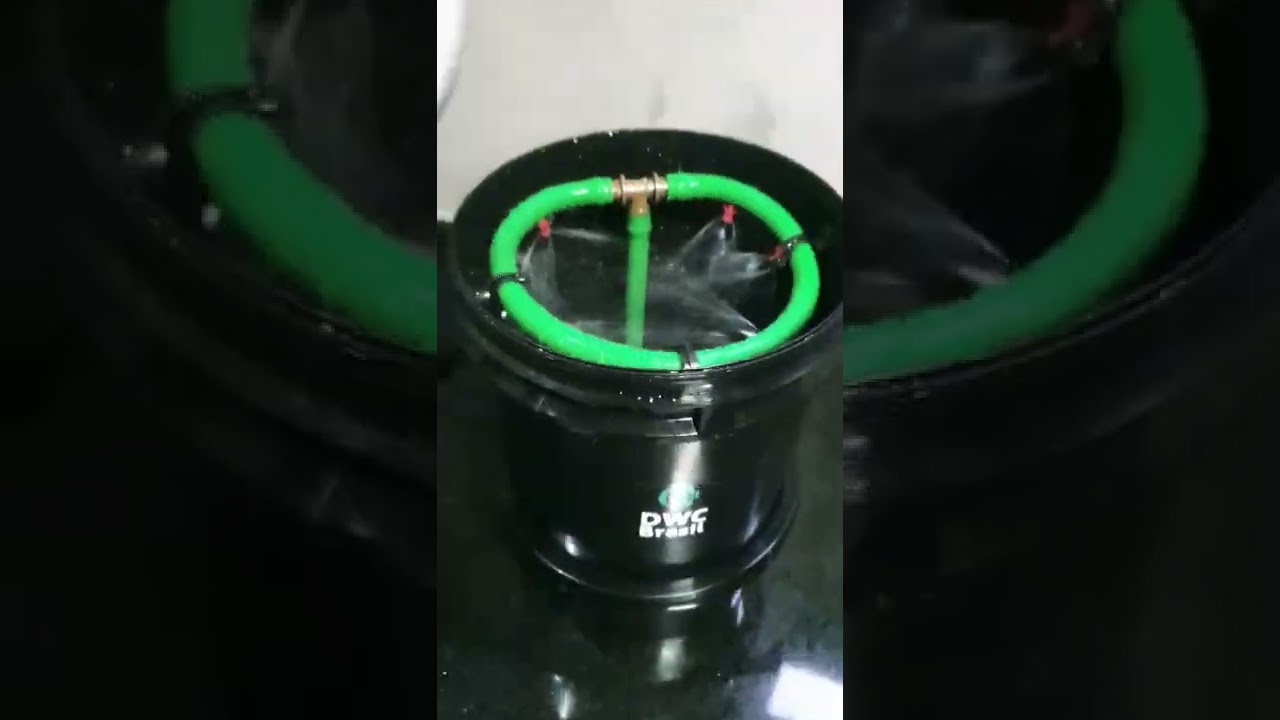 Sistema de cultivo Aerop&ocirc;nico e Aeroclonadora DWC Brasil