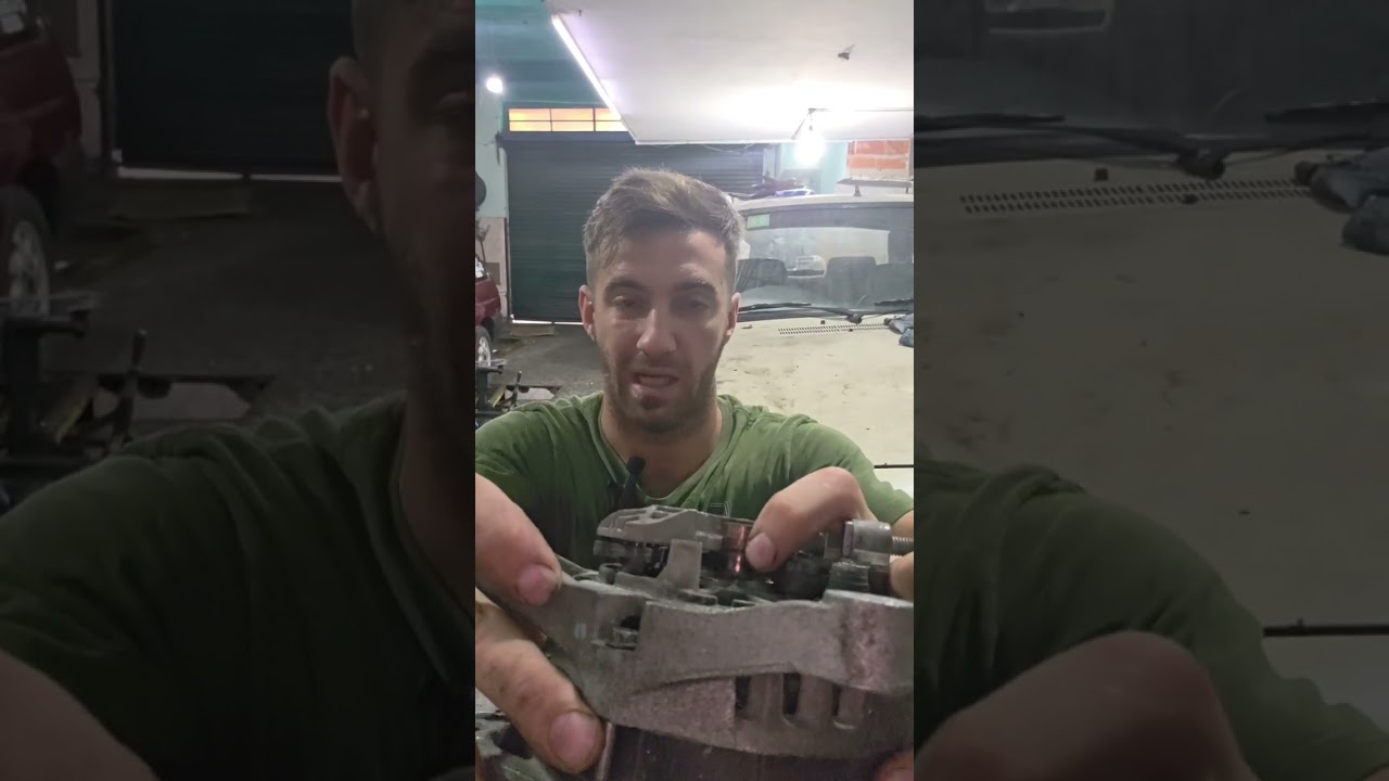 Desarme alternador valeo peugeot                               