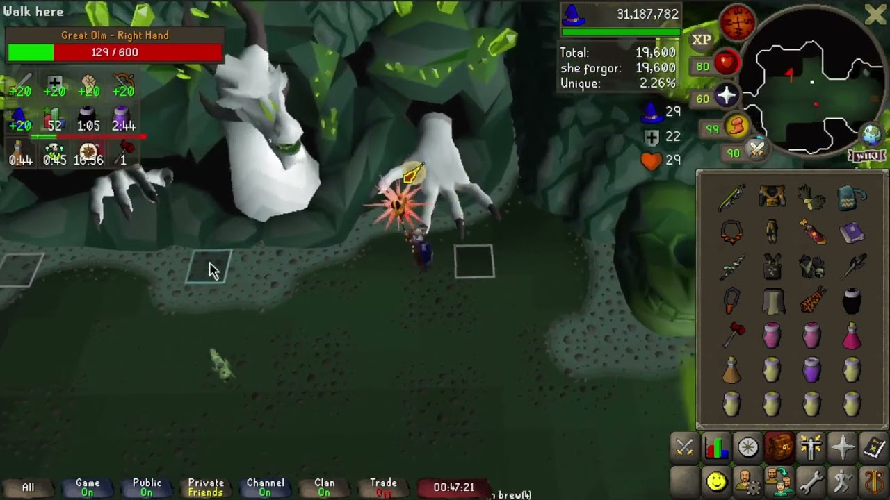 solo olm 3:1 with shadow