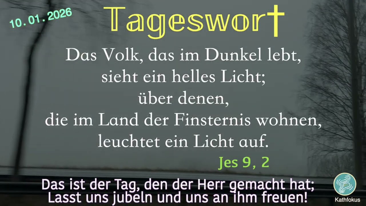 Tageswort || Kathfokus