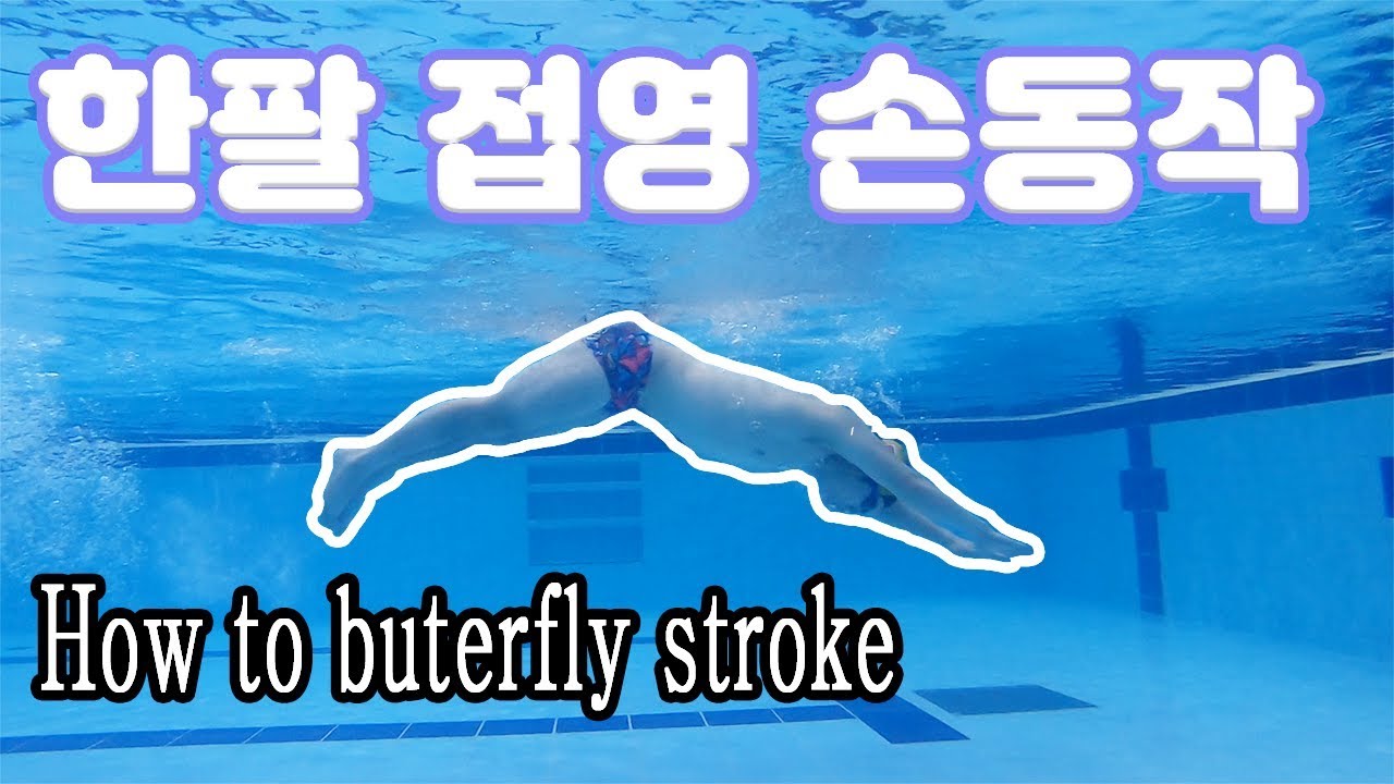 한팔접영 손동작 입니다 입문자 분들께 도움이 되길바랍니다./How to buterfly stroke