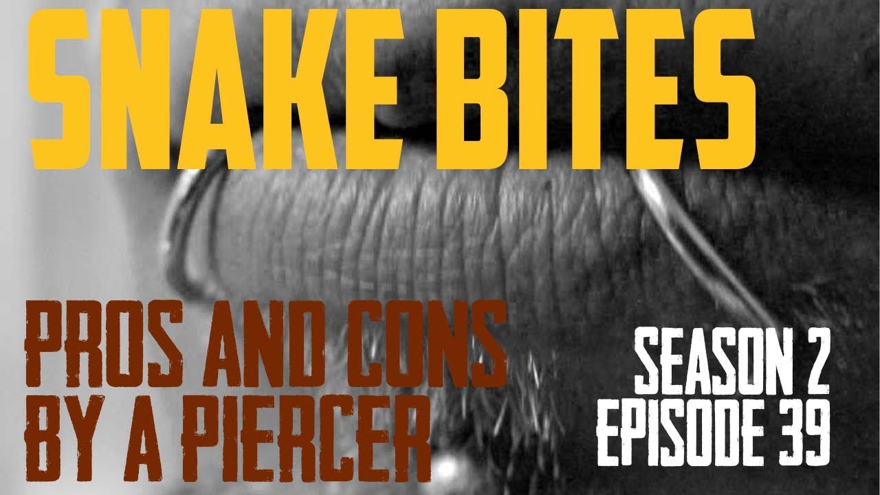 2021 Snake Bites Piercings Pros & Cons & Everything Else by a Piercer S02 EP39