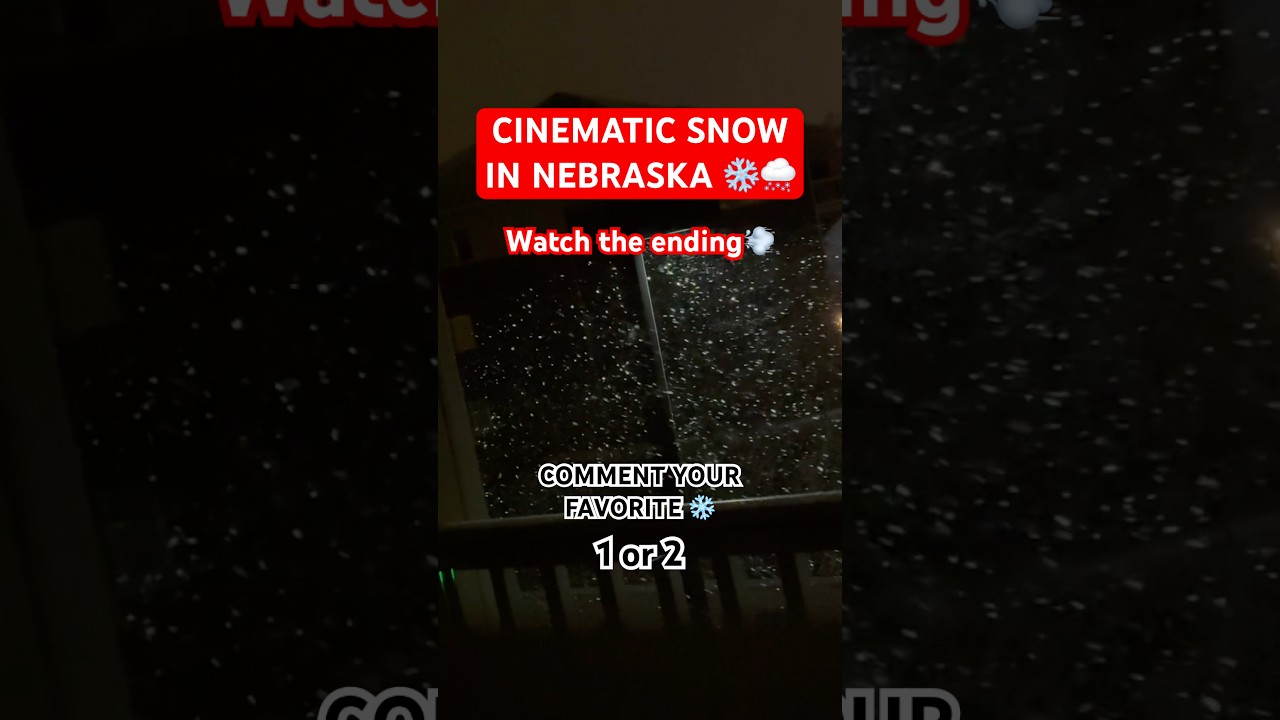 Snow Squall Warning ⚠️ 🌨️ 
