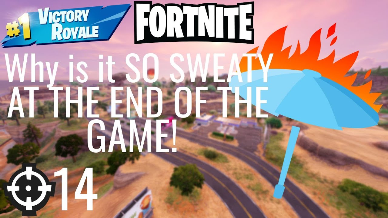 Playing Fortnite Solo Crazy end of the GAME!