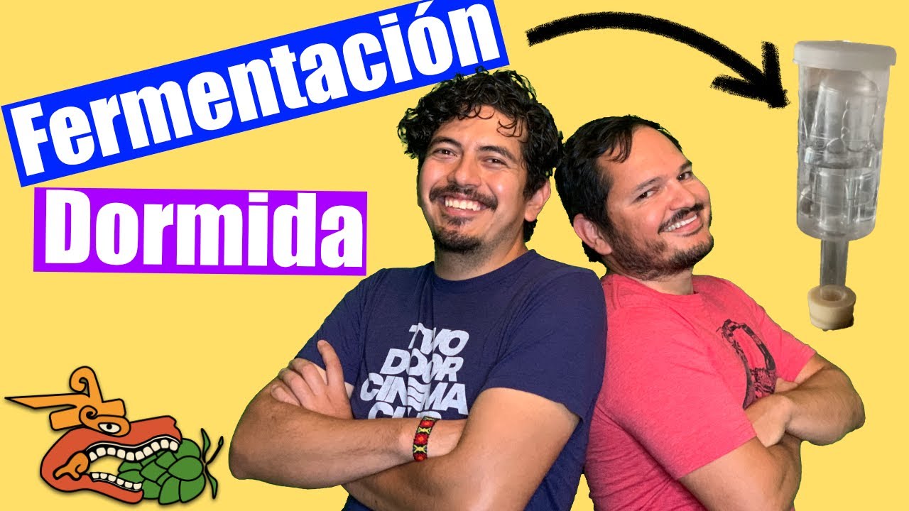 Errores comunes al hacer Cerveza en Casa: Fermentación Dormida