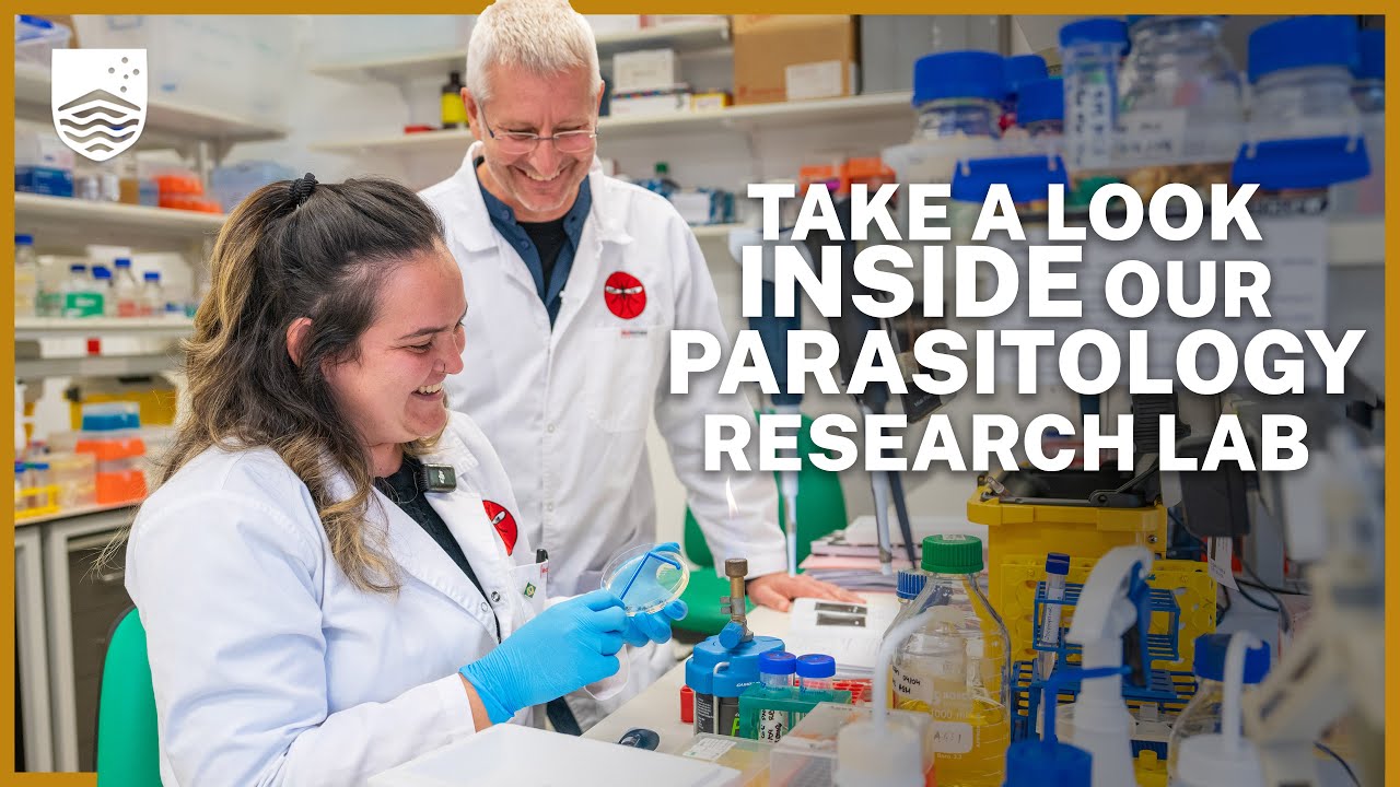 Go behind the scenes of a parasitology research lab