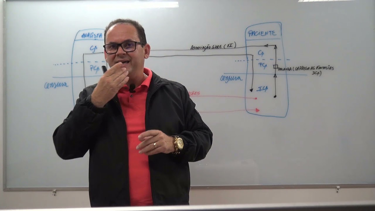 A dinâmica da Transferência e Contratransferência - aula 02