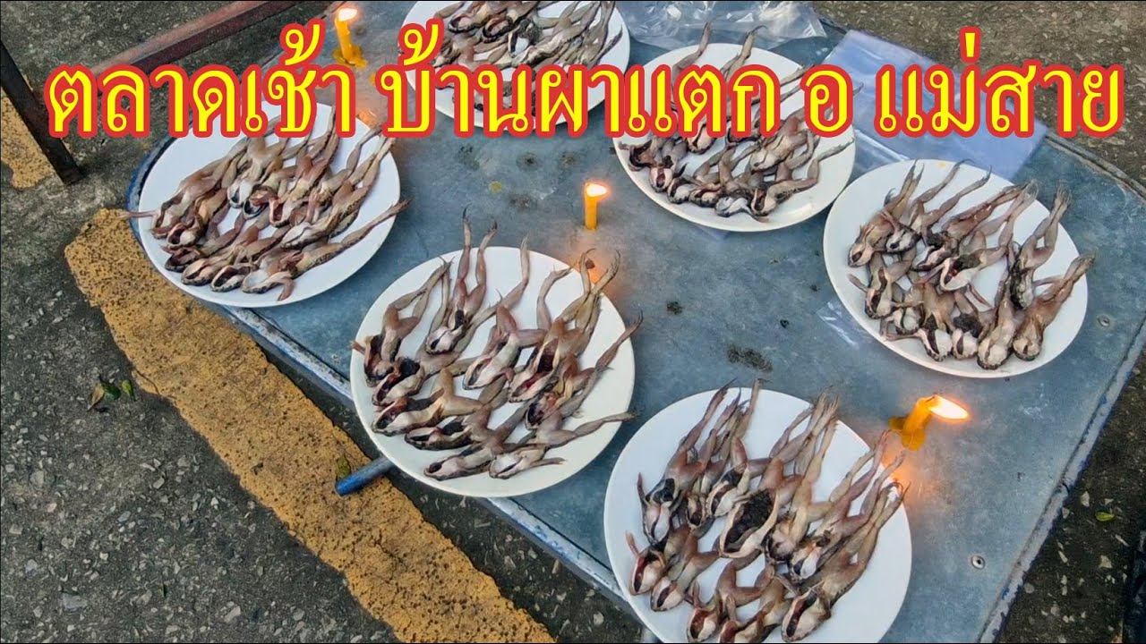 ตลาดเช้า บ้านผาแตก อ แม่สาย