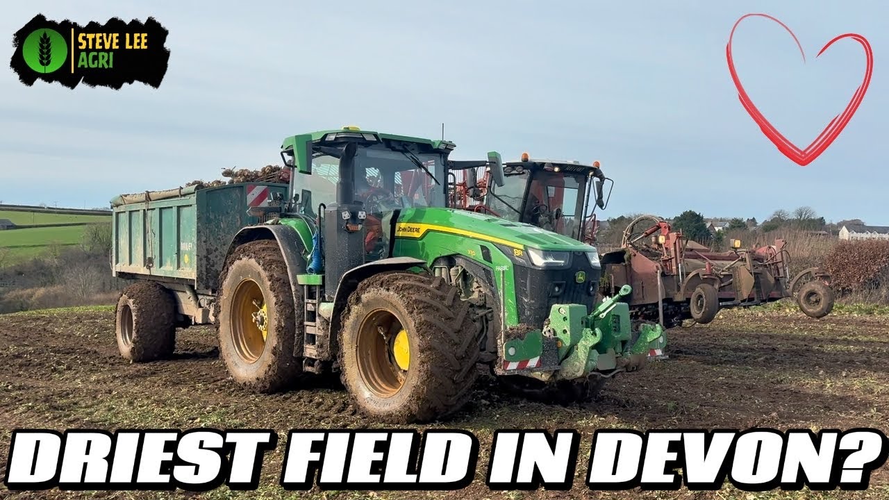 VALENTINES BONUS! PERFECT CONDITIONS AND SOME QUESTIONS ANSWERED! 