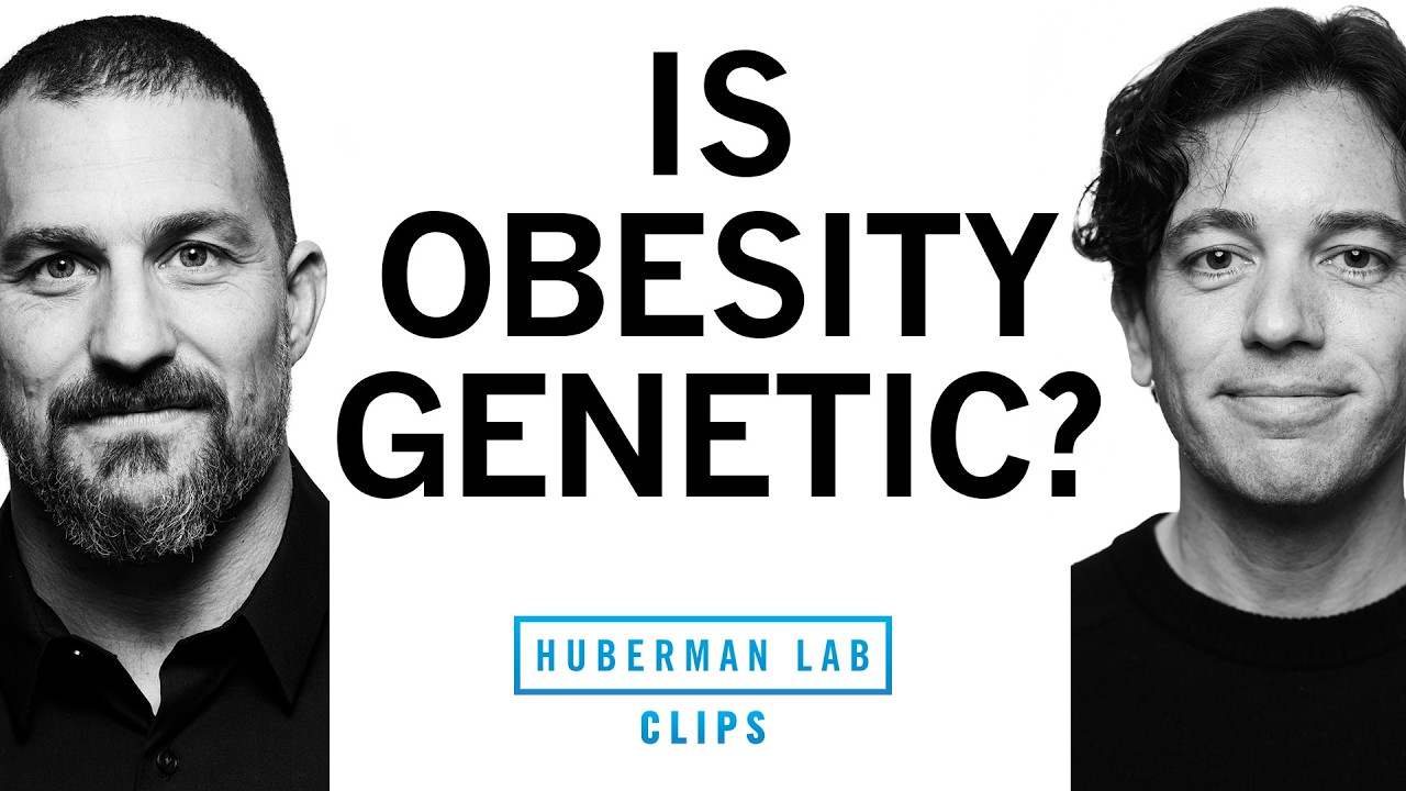 Is Obesity Genetic? | Dr. Zachary Knight & Dr. Andrew Huberman