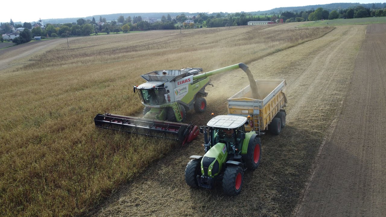 Claas Lexion 760 - Sklizeň sóji AgroSlužby Novotný