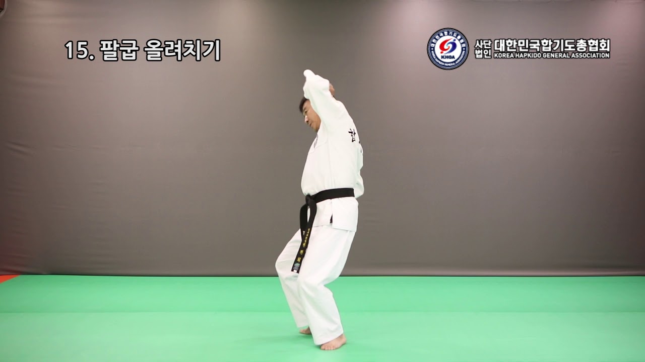 [HAPKIDO] (사)대한민국합기도총협회 2단승단심사(지정술기) [KOREA HAPKIDO GENERAL ASSOCIATION(KHGA)]