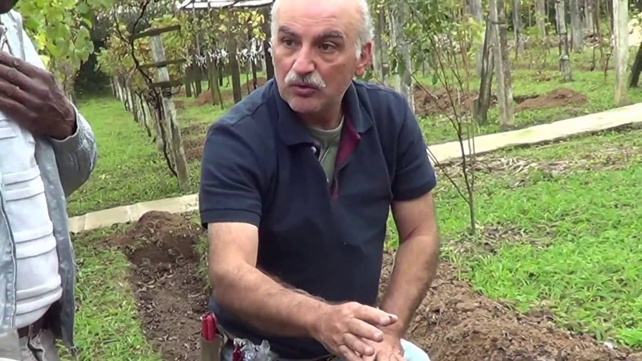 319 ) - PREPARO DA ADUBAÇÃO NA VALETA  PARA POMAR– SP SP