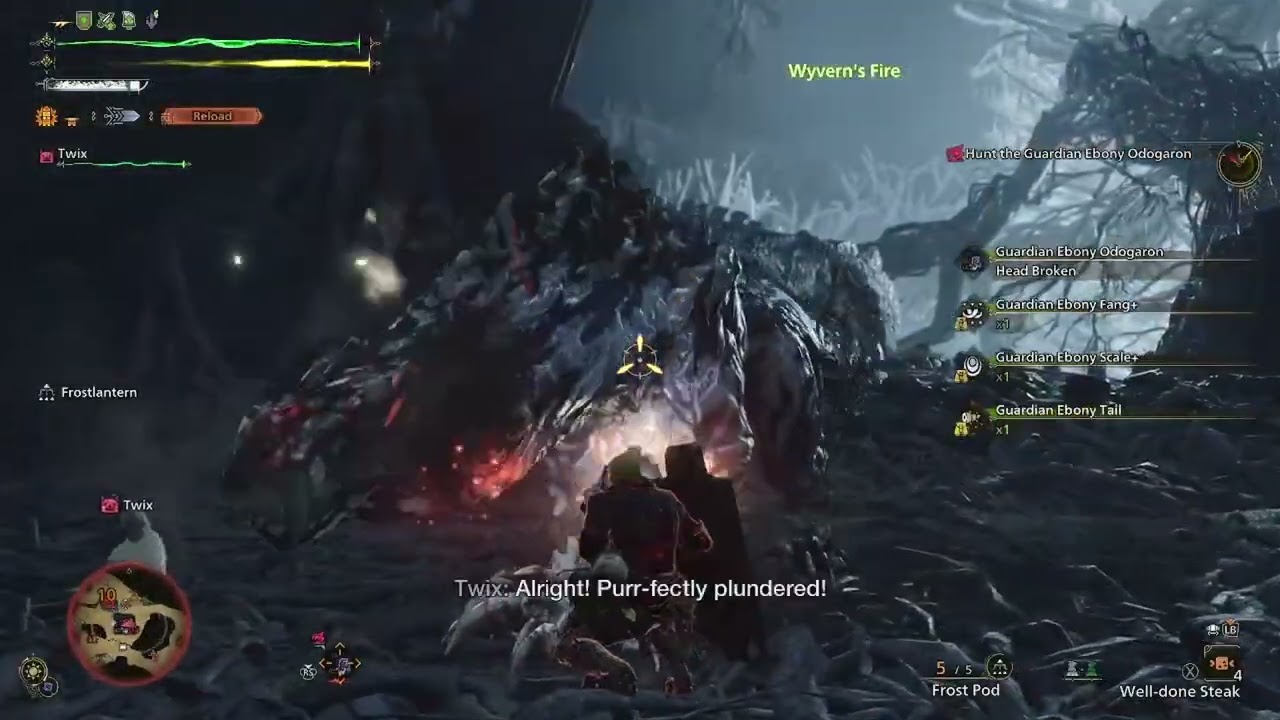 Guardian Ebony Odogaron Fight