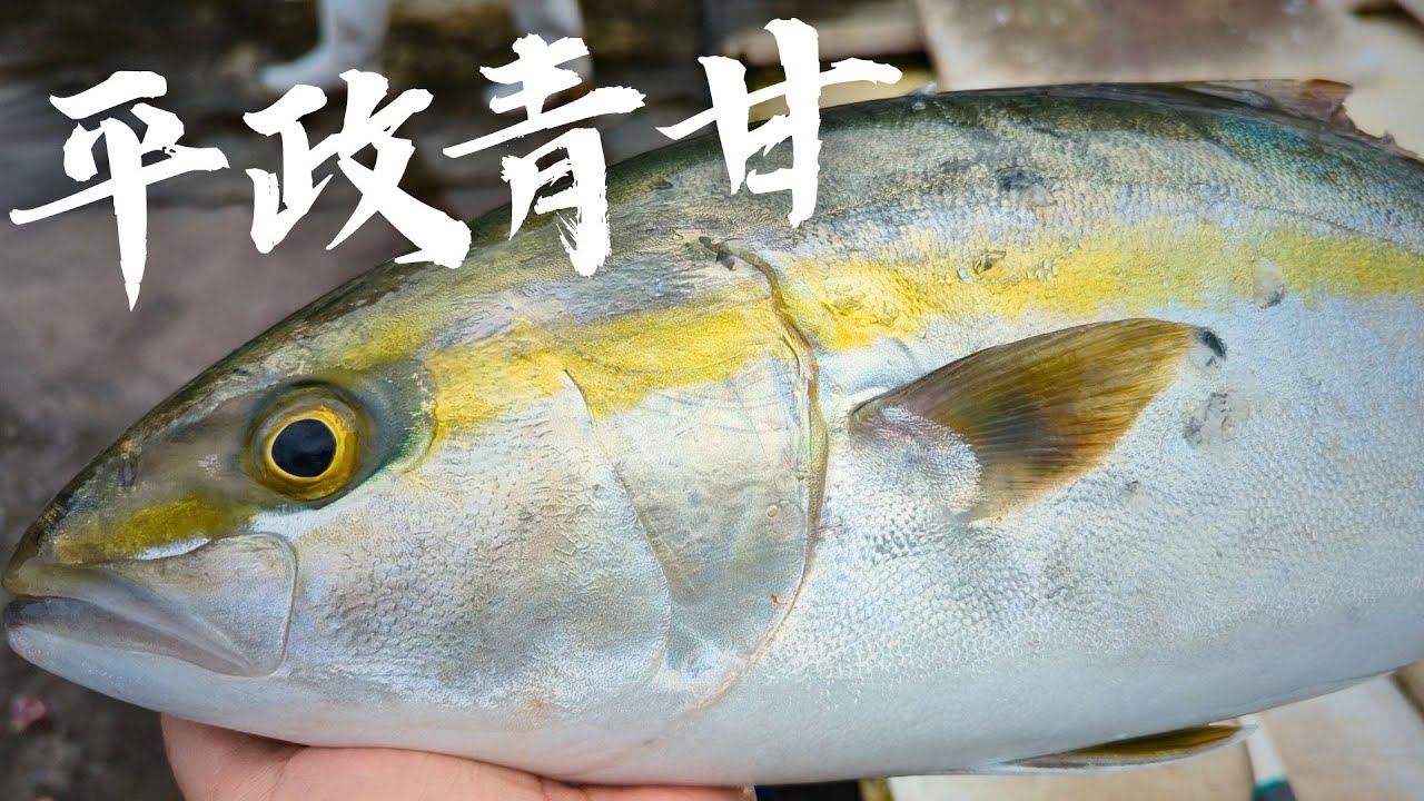 Rare Taiwan Yellowtail Amberjack: Homemade Dry-Aged Sashimi in a Household Refrigerator