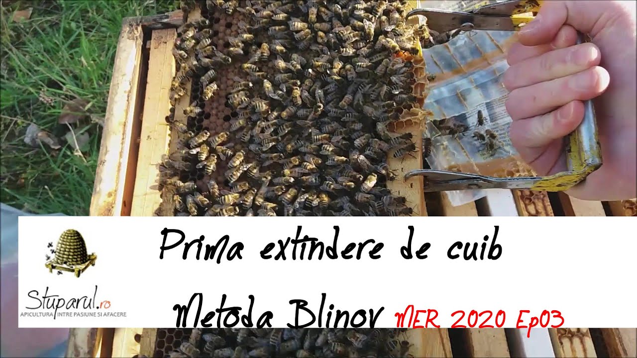 Metoda Blinov - Prima extindere de cuib - MER 2020 Ep03 [29 Feb]