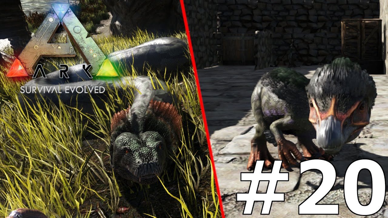 OSWAJANIE TITANOBOA I MŁODY TERIZINOZAUR ARK Survival Evolved #20