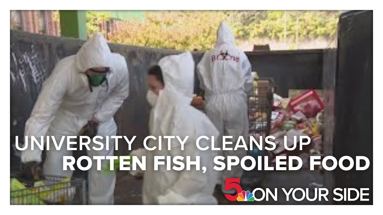 University City cleans up rotten fish