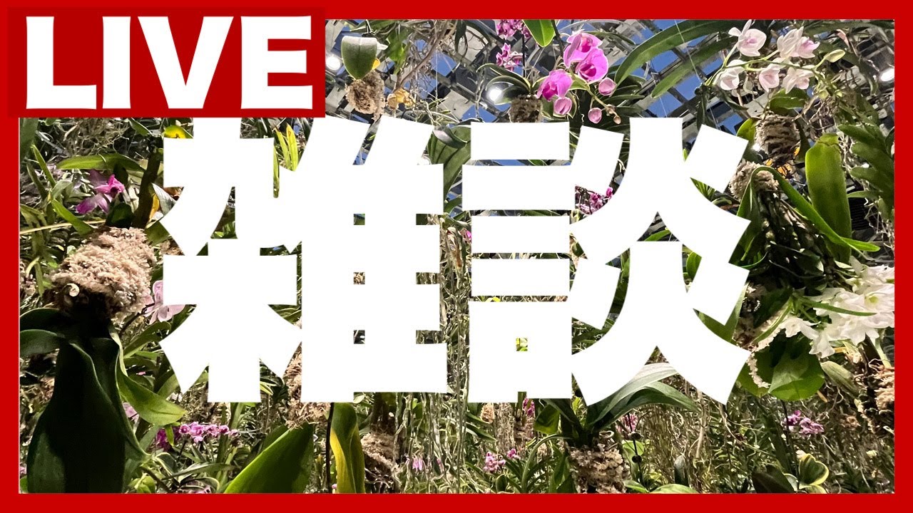 酒のんでてすぐ終わるかも【雑談】