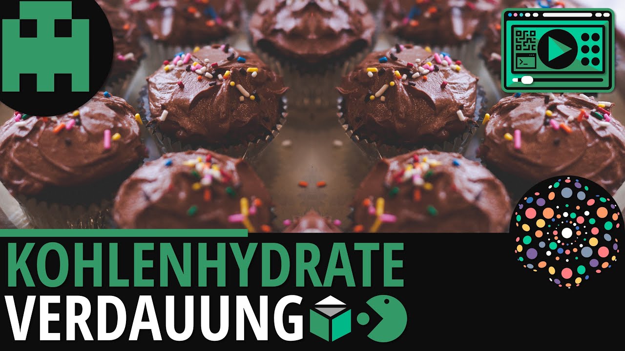 Kohlenhydratverdauung │Biologie Lernvideo [Learning Level Up]