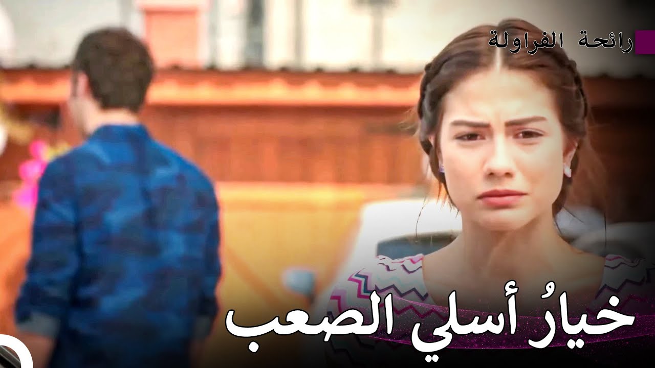 تشاجر فولكان وبوراك من أجل أسلي -  رائحة الفراولة