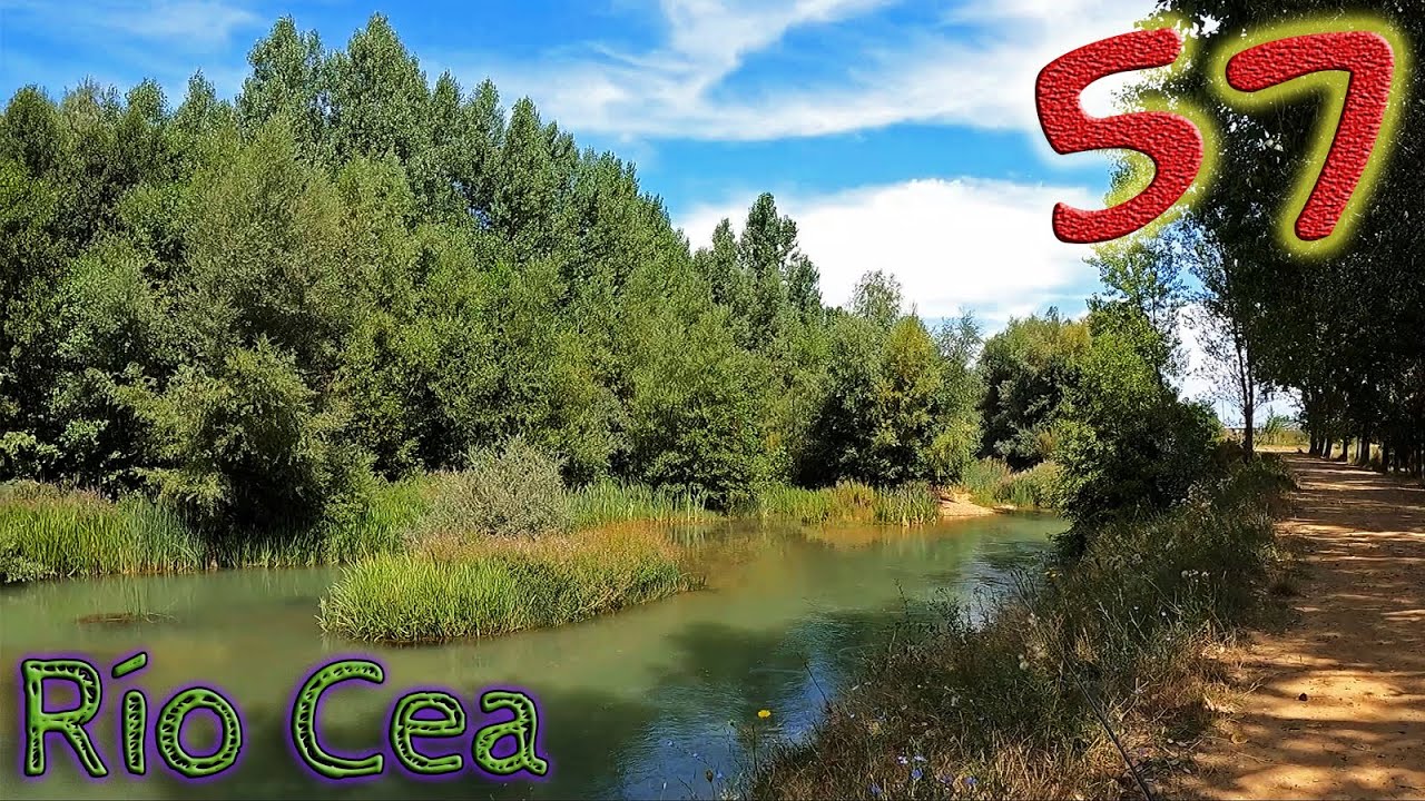 Uno de los tramos más raros y sorprendentes en los que he pescado || Río Cea || #57