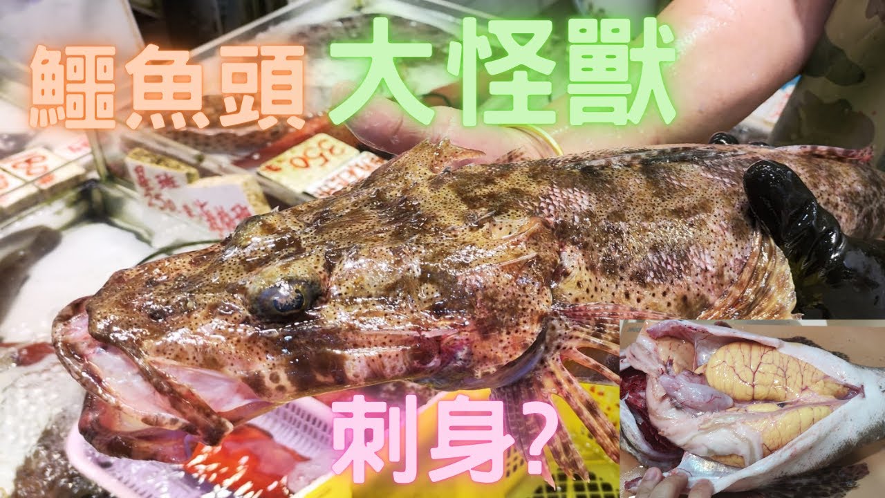 鱷魚頭全身刺,未見過那麼大條石鰍😍勁多春🎉又蒸又刺身🤤（刺身有風險）~fishcutting香港海鮮~社長遊街市Seafood