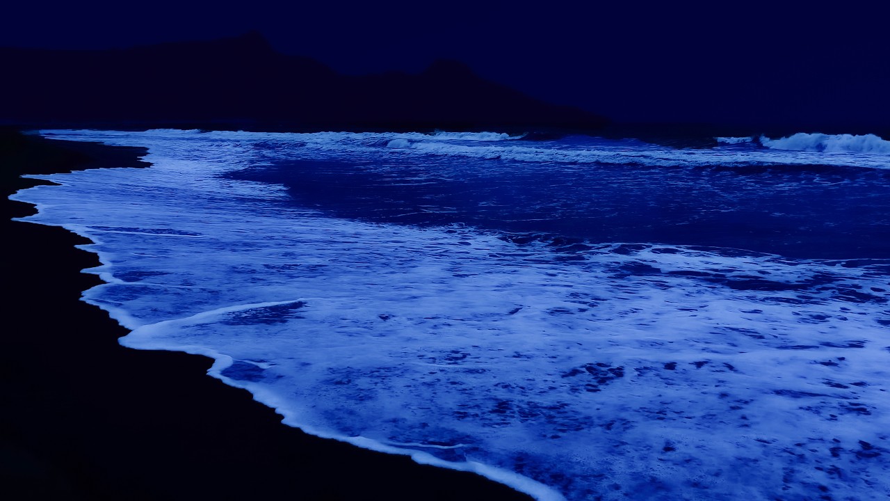 Stress Relief & Fall Asleep in Minutes with Tranquil Ocean Sound 🌊 Relaxing Therapy For Easy Sleep