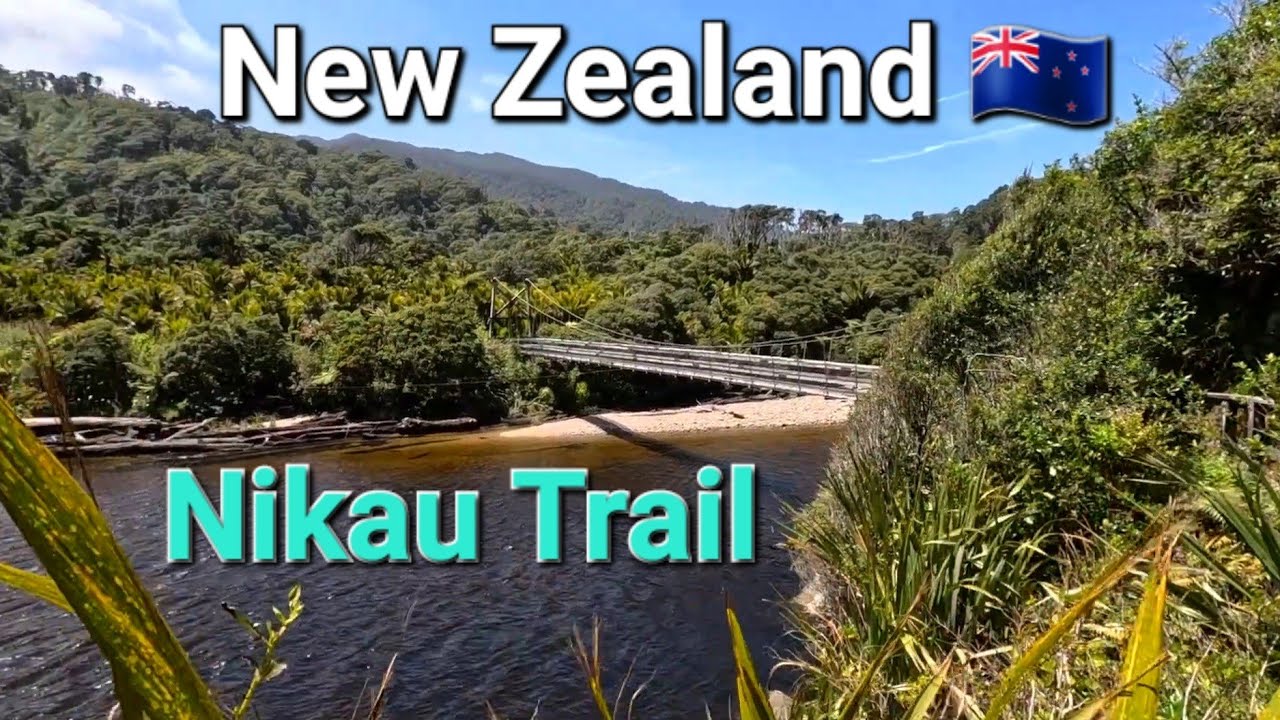 Nikau Walk (Heaphy Track) New Zealand