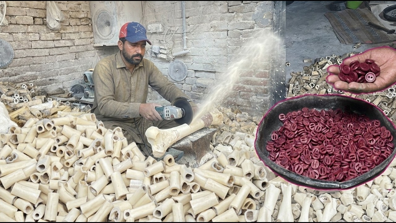 How Millions of Animal Bones Recycling Into Bone Buttons in Factory  | Amazing Manufacturing Process