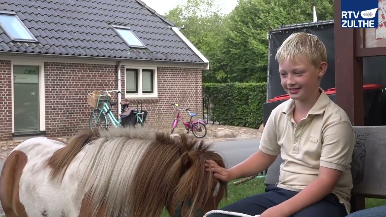 Paardenmarkt Norg 2025