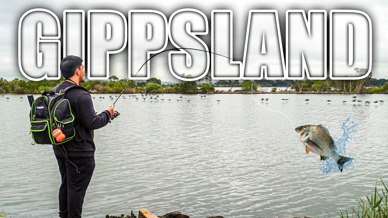 2 Days Fishing Gippsland Lakes: Here's What Happened