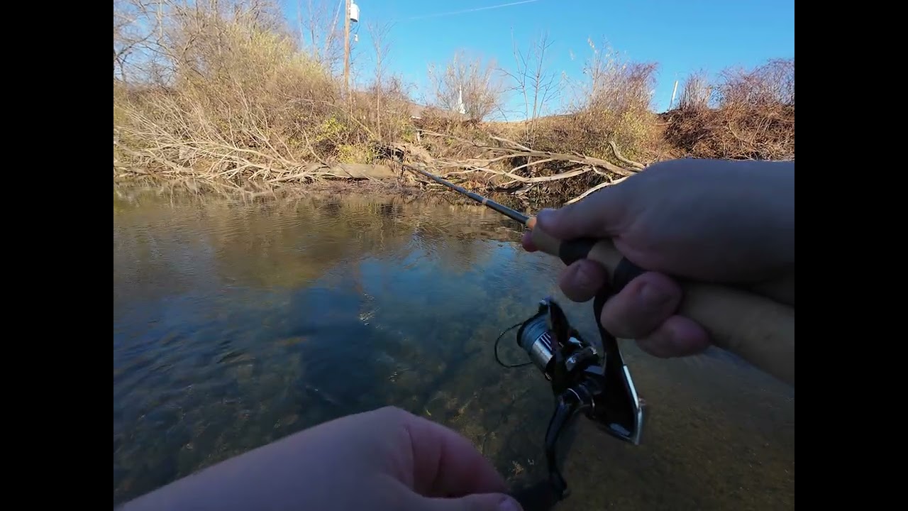 Va Brown Trout Fishing